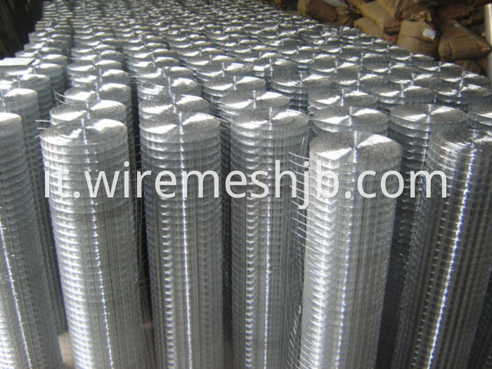 Galvanized Welded Wire Mesh 